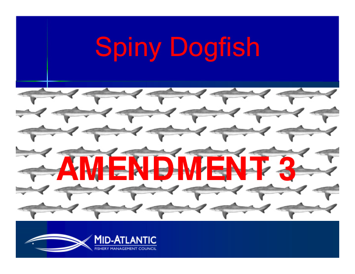 amendment 3