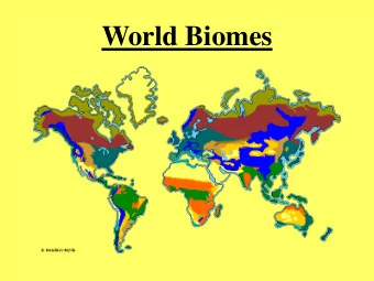 World Biomes  World Biomes  Tropical  Rainforest  Location:  Found near  equatorlittle variation