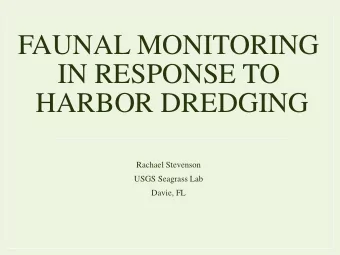 IN RESPONSE TO  HARBOR DREDGING  Rachael Stevenson  USGS Seagrass Lab  Davie, FL  Overview
