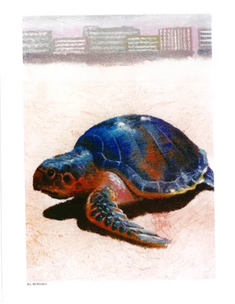 Growth Management  Growth Management  Issues  Issues  STBR. v. Florida Department of Environmental