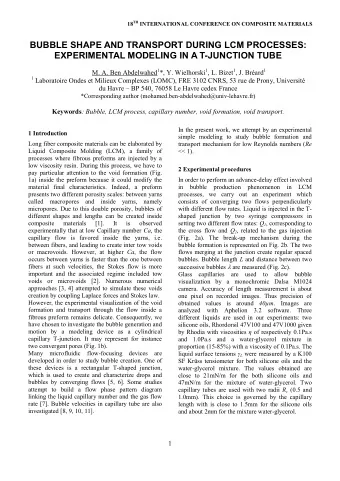 BUBBLE SHAPE AND TRANSPORT DURING LCM PROCESSES:  EXPERIMENTAL MODELING IN A T-JUNCTION TUBE M. A.