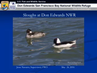 Sloughs at Don Edwards NWR  Photo by Glenn Nevill  Jesse Navarro, Supervisory FWO  May  24, 2016