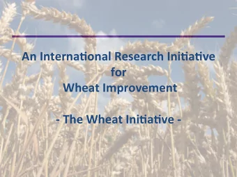 An  Interna)onal  Research  Ini)a)ve    for    Wheat  Improvement
