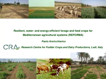 Resilient, water- and energy-efficient forage and feed crops for  Mediterranean agricultural