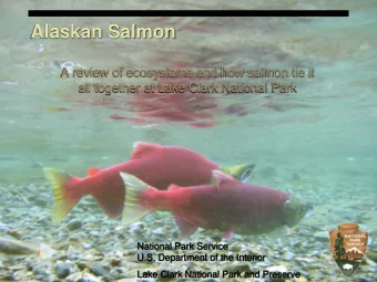 Alaskan Salmon  A review of ecosystems and how salmon tie it  all together at Lake Clark National
