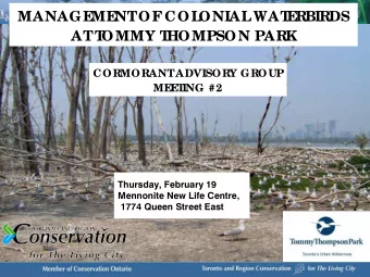 MANAGE  ME  NT  OF  COL  ONIAL  WAT  E  RBIRDS  AT  T  OMMY T  HOMPSON PARK  CORMORANT  ADVISORY