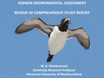 HEBRON ENVIRONMENTAL ASSESSMENT  REVIEW OF COMPREHENSIVE STUDY REPORT  W. A. Montevecchi