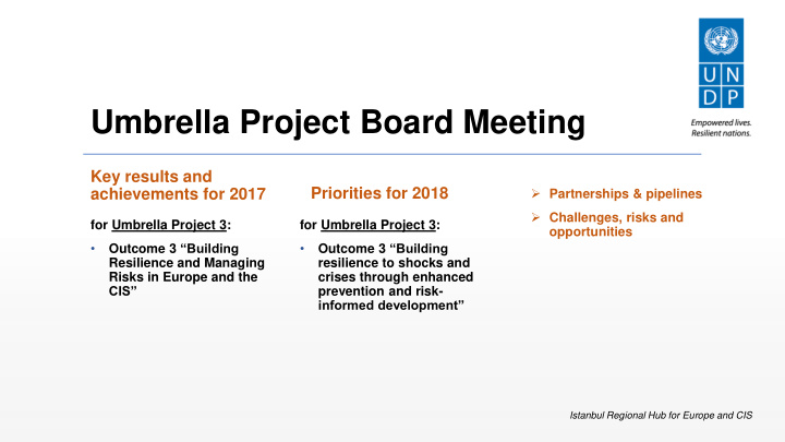 umbrella project board meeting
