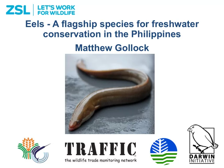 eels a flagship species for freshwater conservation in