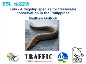 Eels - A flagship species for freshwater  conservation in the Philippines Matthew Gollock  Project