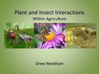 Plant and Insect Interactions  Within Agriculture  Drew Needham  Outline  There is going to be a