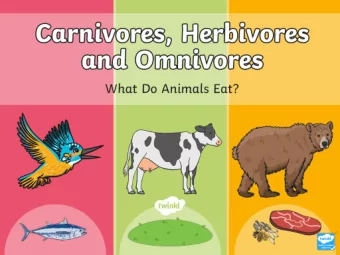 Staying Alive  Animals need to eat to stay alive.  Different animals eat different types of food.