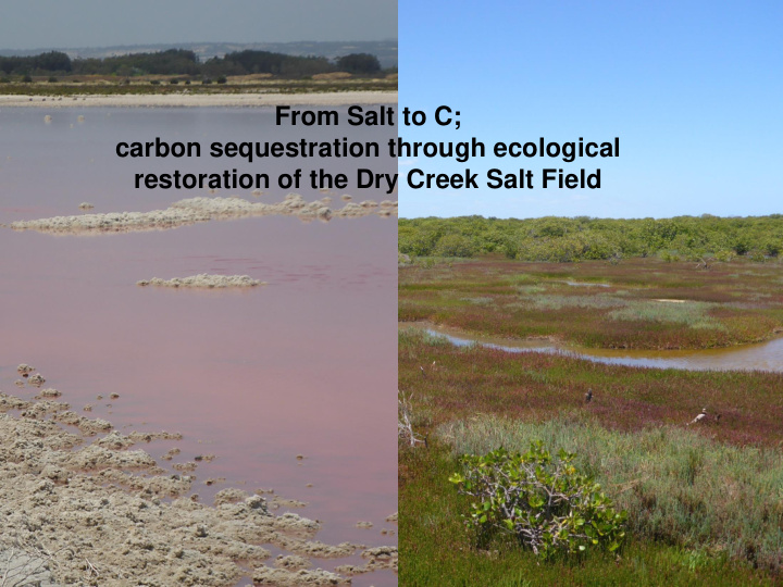 from salt to c carbon sequestration through ecological