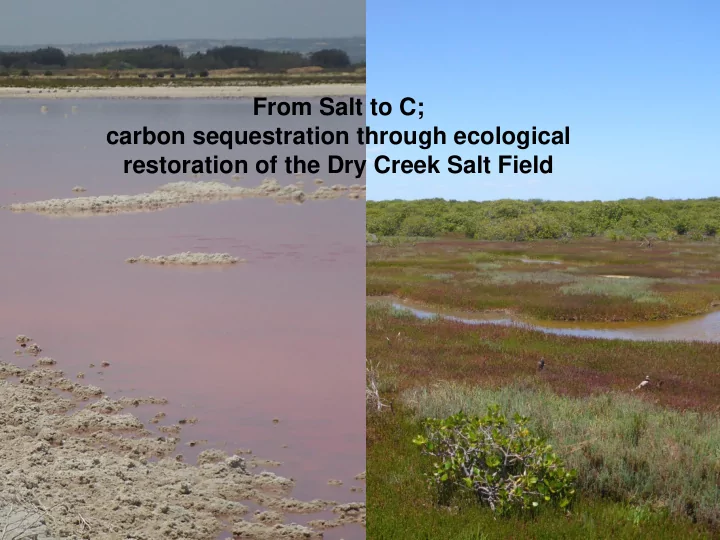 from salt to c carbon sequestration through ecological