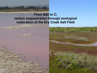From Salt to C;  carbon sequestration through ecological  restoration of the Dry Creek Salt Field