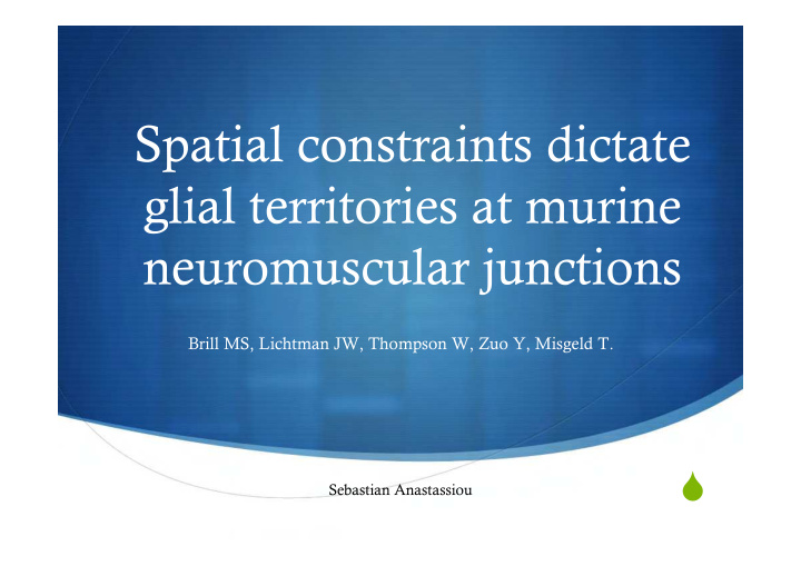 spatial constraints dictate glial territories at murine