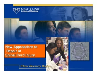 New Approaches to  New Approaches to  New Approaches to  Repair of  Repair of  Repair of  Spinal