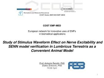 Study of Stimulus Waveform Effect on Nerve Excitability and  SENN model verification in Lumbricus