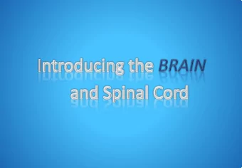 Any questions for a scientist?  Ask your parents to email us!  sarah.gundy@nuigalway.ie  Unit 5A: