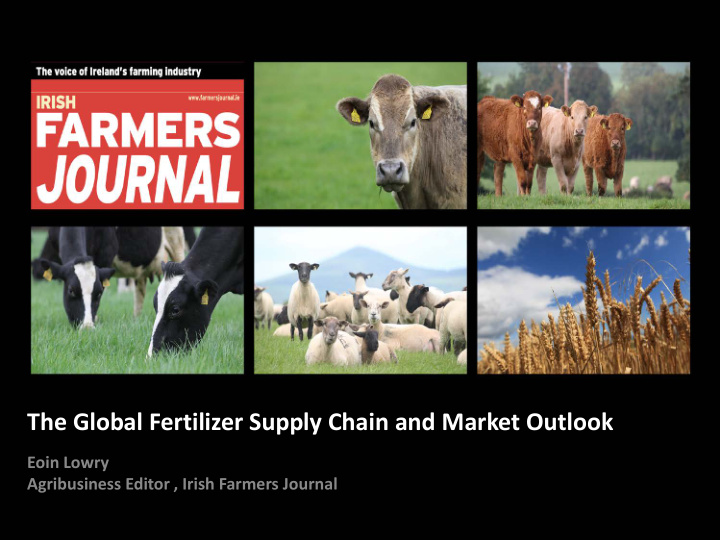 the global fertilizer supply chain and market outlook