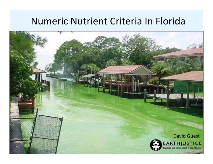 numeric nutrient criteria in florida