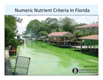 Numeric Nutrient Criteria In Florida David Guest . 2005 Massive Algae Outbreak Algae Was Extremely