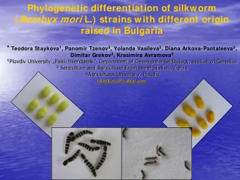 Phylogenetic differentiation of silkworm ( Bombyx mori L.) strains with different origin  raised in