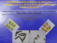 phylogenetic differentiation of silkworm bombyx mori l