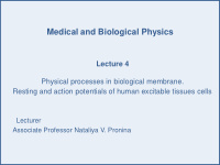 medical and biological physics lecture 4 physical