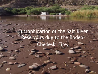 Chedeski Fire .  Nutrient Loading into  Roosevelt  Y  Summer 04  Spring 04