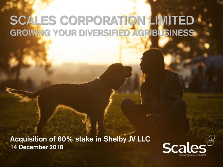 scales corporation limited