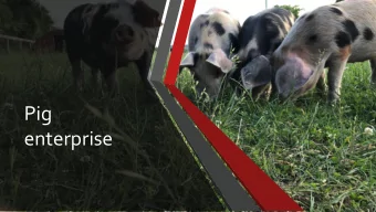 enterprise  Project aims  My aims were:  to buy in store weaners and raise them for
