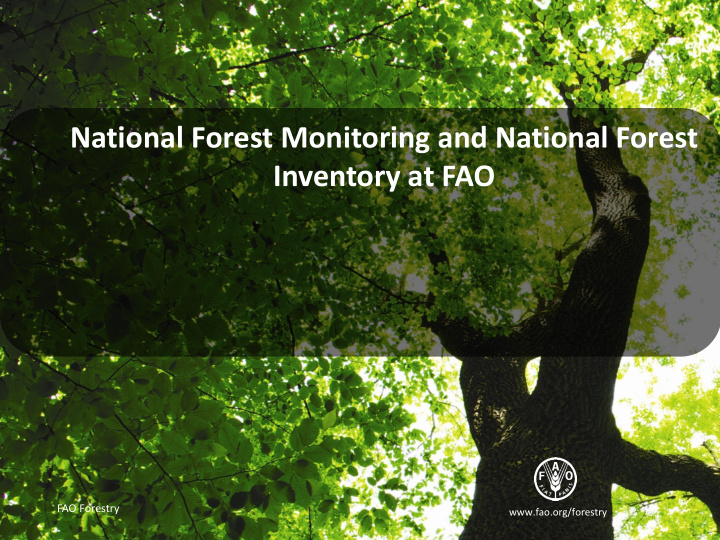 national forest monitoring and national forest inventory