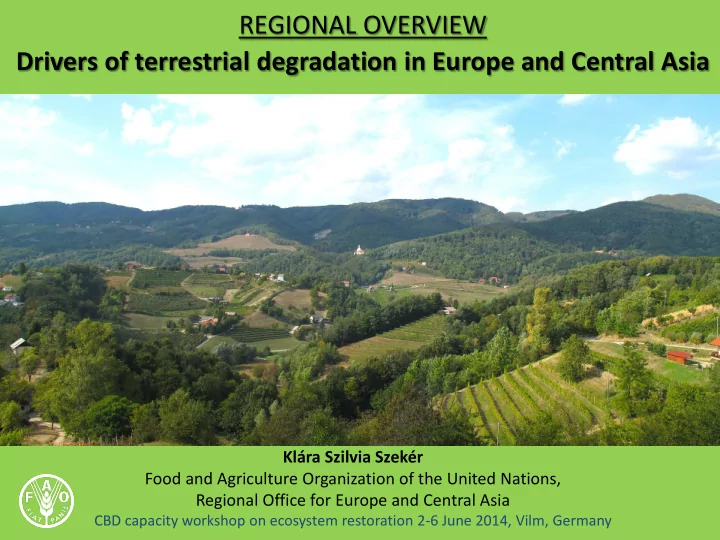 regional overview