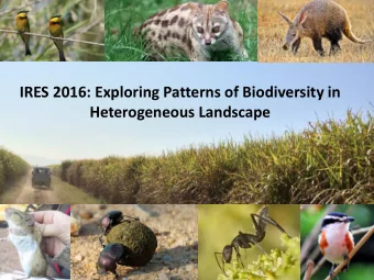 Heterogeneous Landscape  International Research  Experience for Students  UNIVERSITY OF SWAZILAND