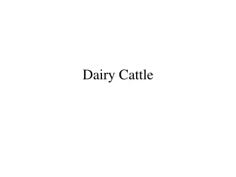 Dairy Cattle  Introduction  Fibrous plant material  (grass, forage)    Ruminant  digestive