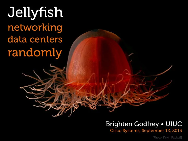 jellyfish