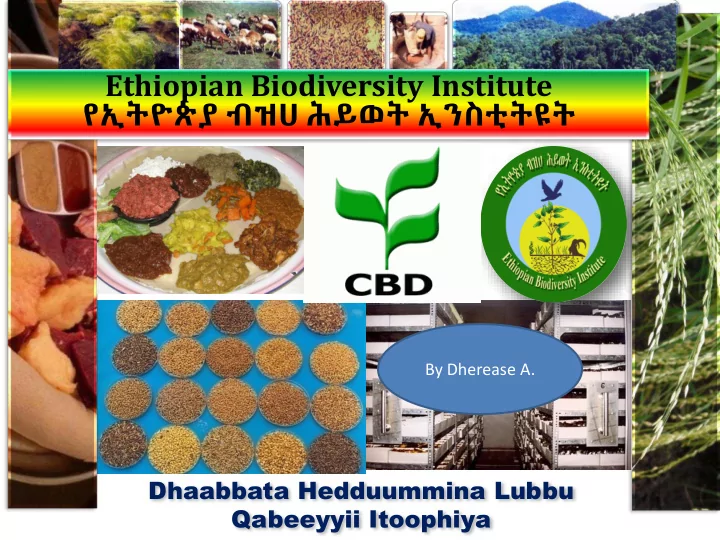 by dherease a dhaabbata hedduummina lubbu