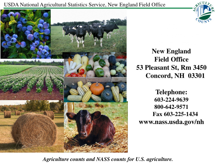 usda national agricultural statistics service new england