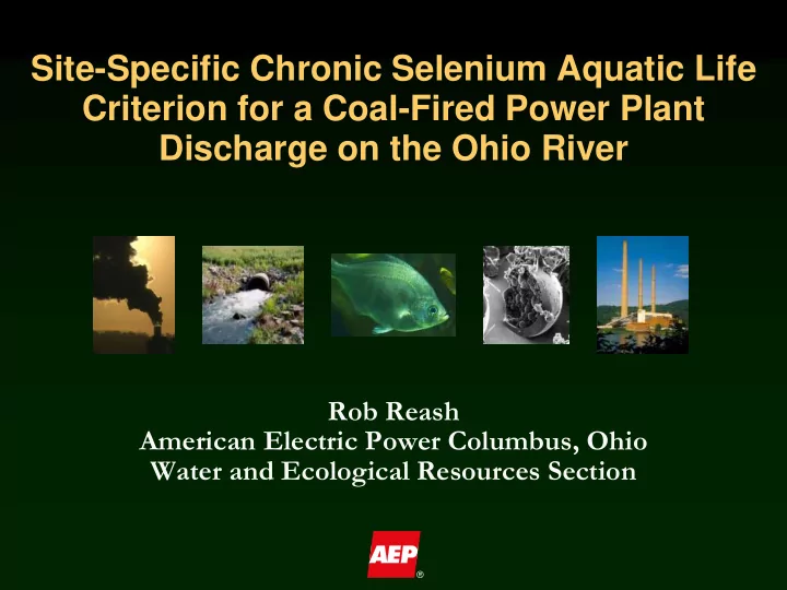 site specific chronic selenium aquatic life