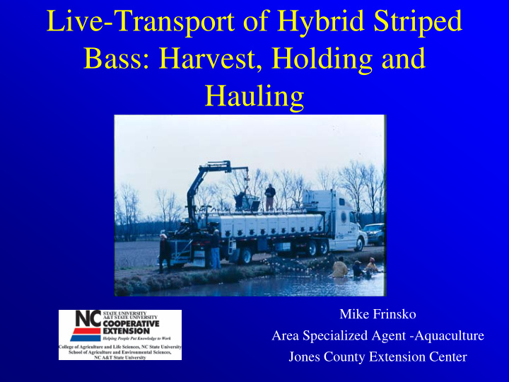 live transport of hybrid striped bass harvest holding and