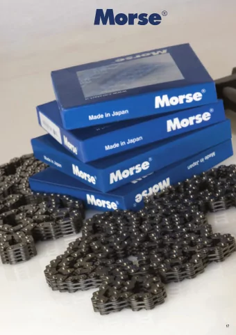 17  Le catene silenziose Morse  The Morse Silent Chain  Uno dei pi diffusi sistemi di