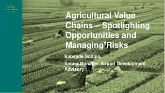 Chains  Spotlighting  Opportunities and  Managing Risks  Babajide Sodipo,  Senior Manager,