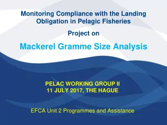 Mackerel Gramme Size Analysis PELAC WORKING GROUP II 11 JULY 2017, THE HAGUE  EFCA Unit 2