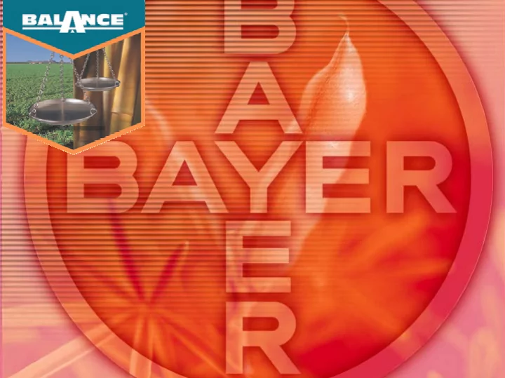 balance summary