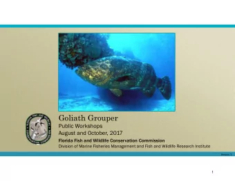Goliath Grouper  Public Workshops  August and October, 2017  Florida Fish and Wildlife Conservation