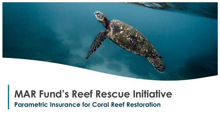mar fund s reef rescue initiative