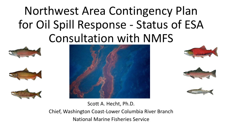 northwest area contingency plan for oil spill response