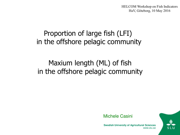 in the offshore pelagic community maxium length ml of fish
