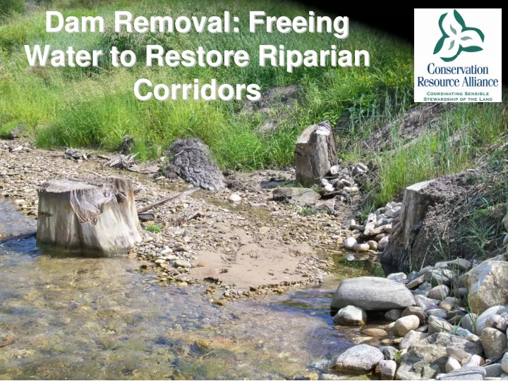 dam removal freeing dam removal freeing water to restore